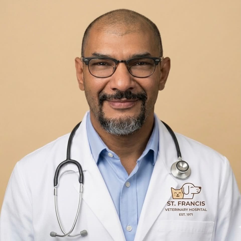 Dr. Hani M. Korani, DVM, DACVS-SA